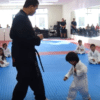 3 year old gets white belt