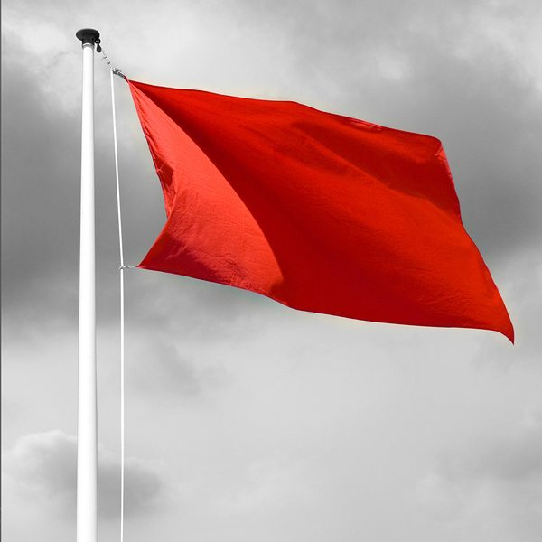 Red Flags: Keeping an Eye on Behavior & Development